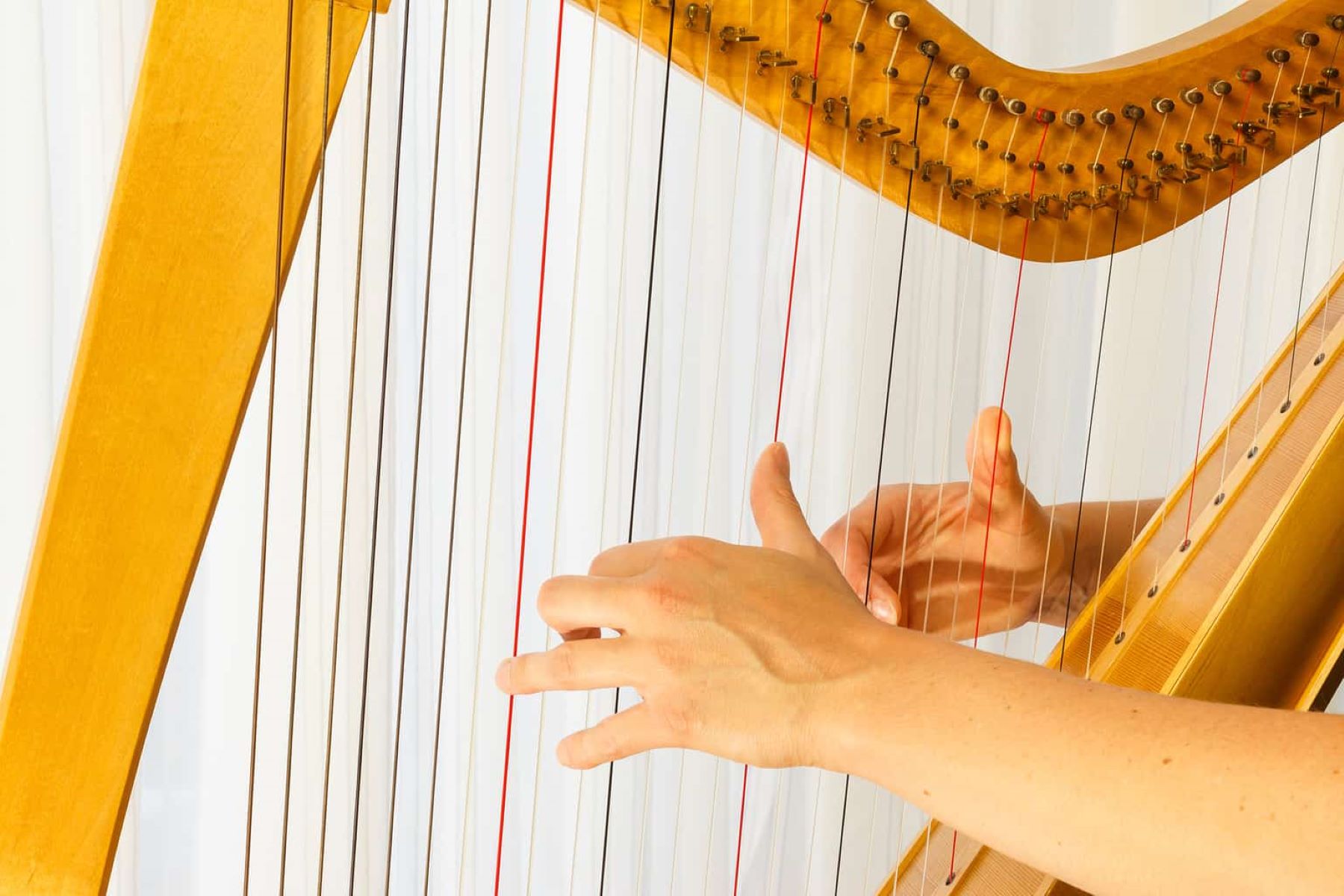 How To Make A Folk Harp