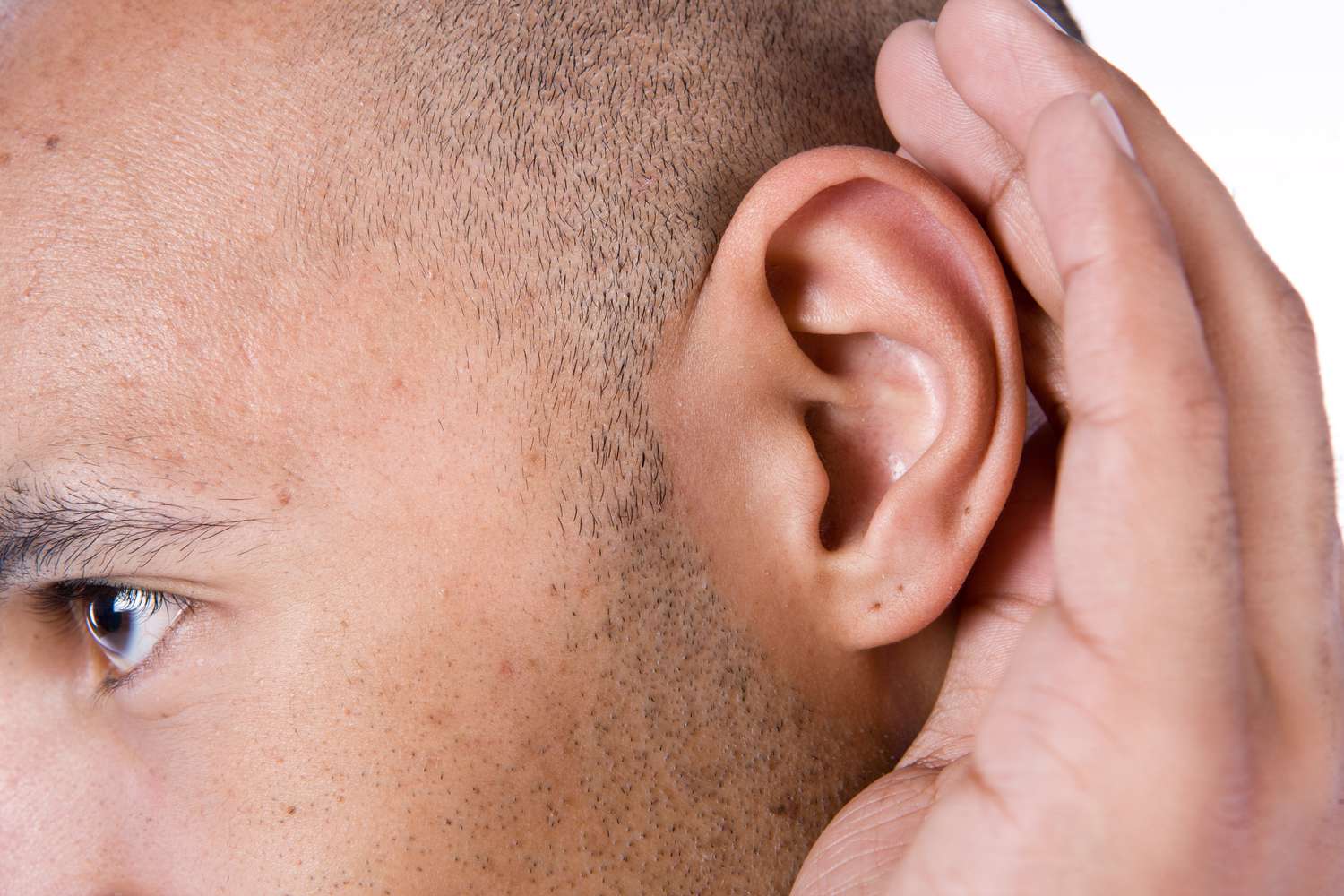 Which Structure Of The External Ear Collects Sound Waves?