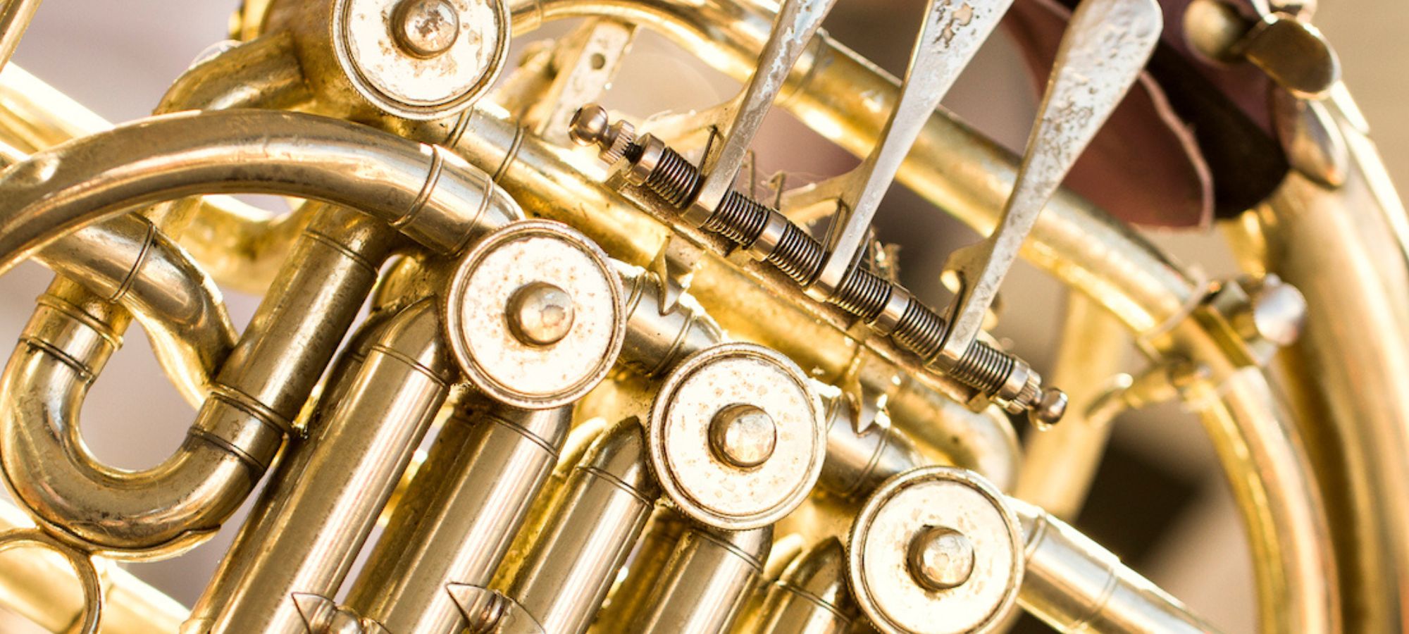 Brass Instruments Belong To What Instrument Category