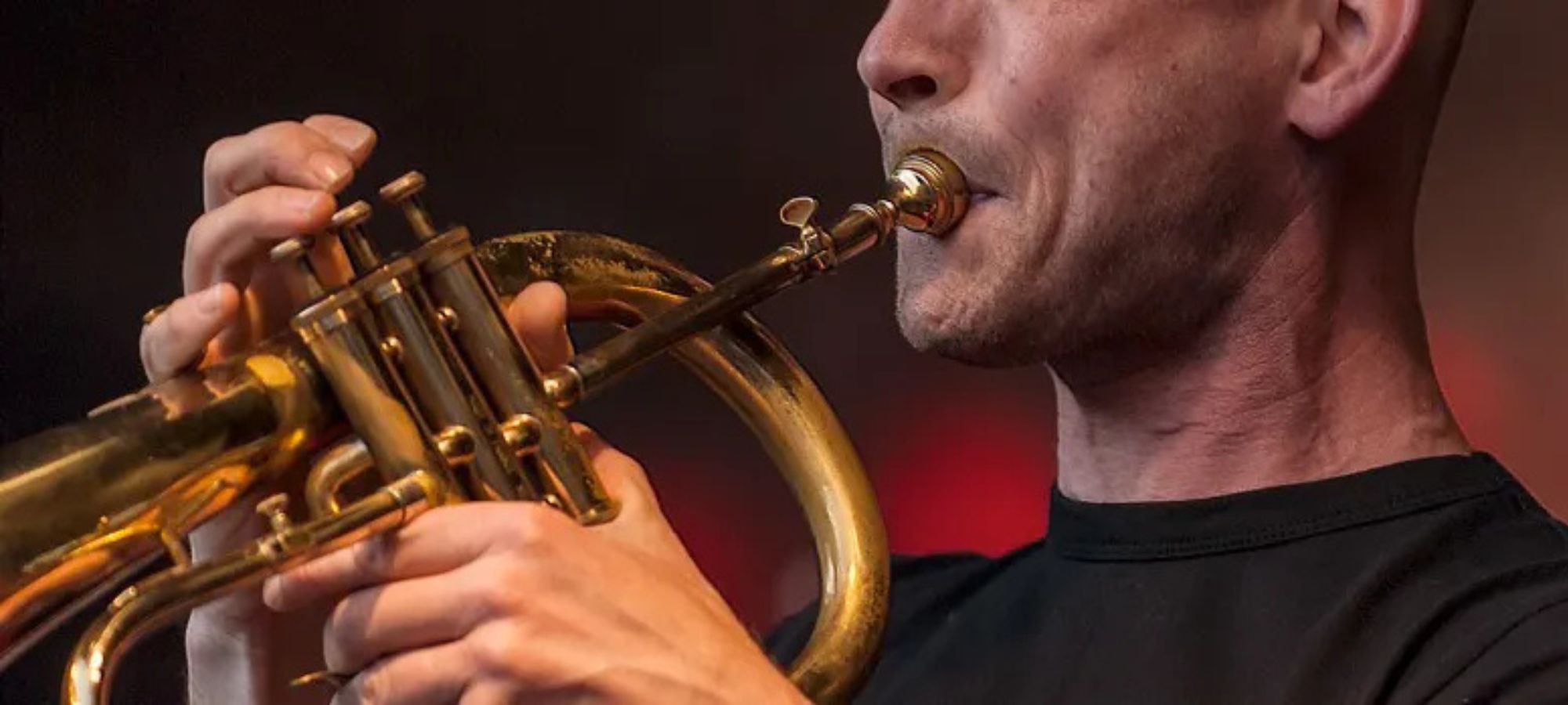 How Are Brass Instruments Played?