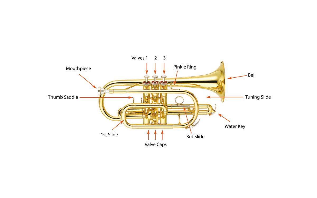How Do Brass Instruments Change Notes
