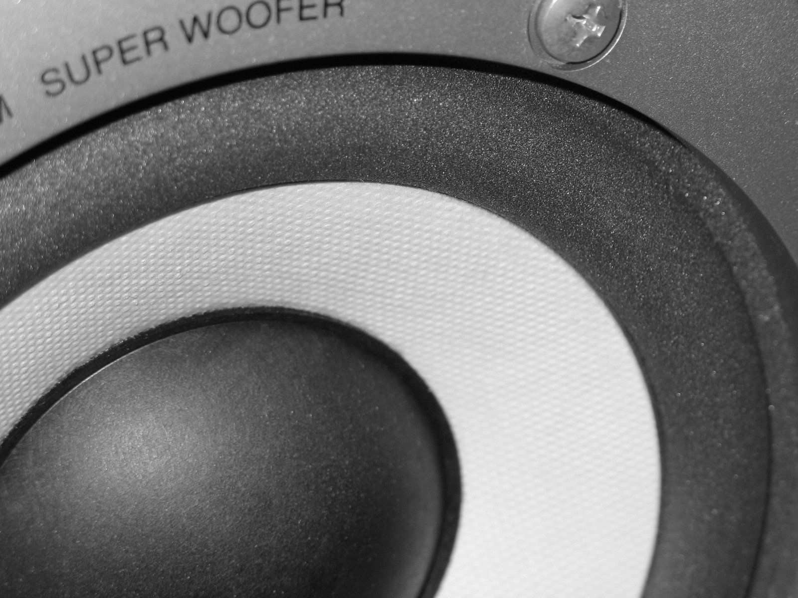 How To Fix A Ripped Subwoofer