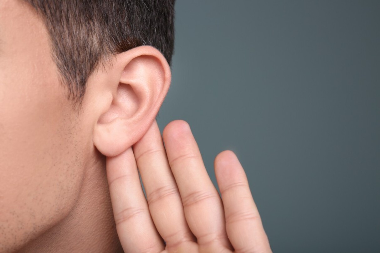How High Of Frequency Can Humans Hear