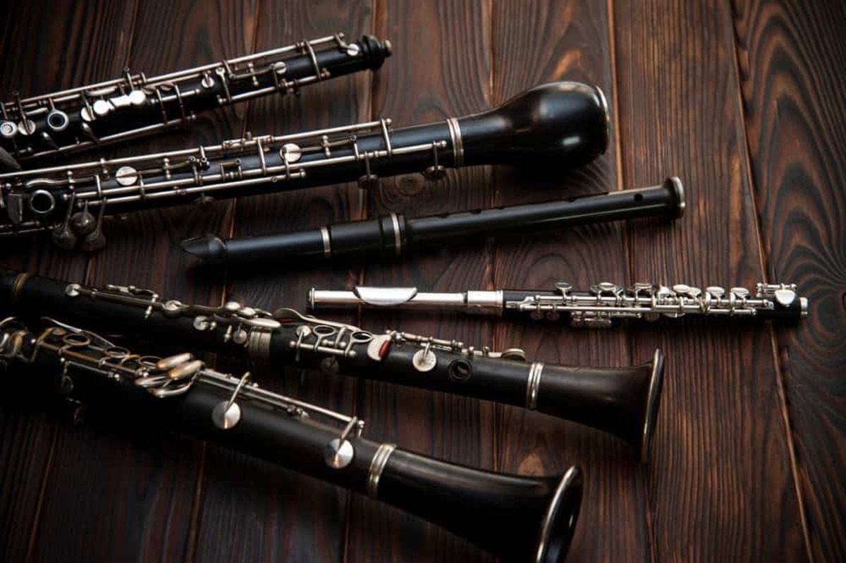 What Woodwind Instrument Plays Along With The Orchestra?