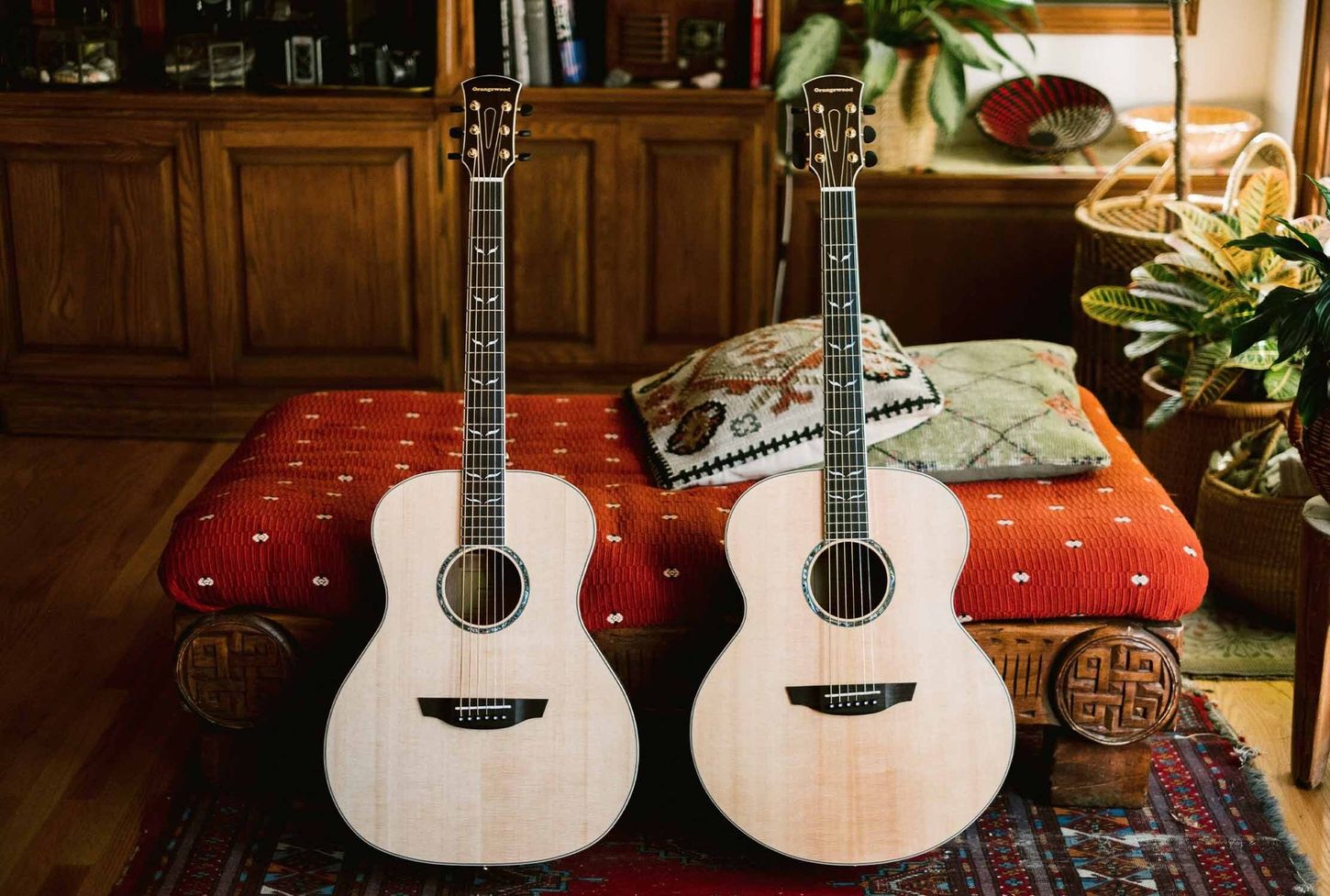 Which Acoustic Guitar Is Best