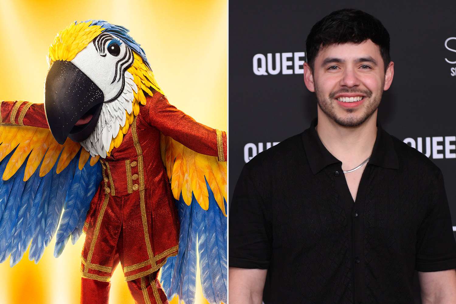 Who Is The Macaw On Masked Singer